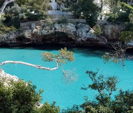 Serena Sol Palma de Mallorca